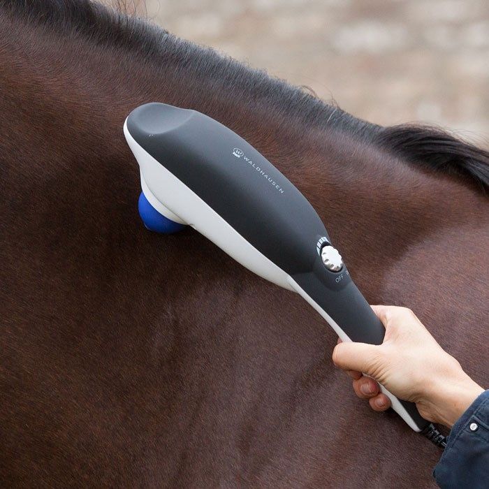 Waldhausen Massageapparat 'Super Dandy GO-Relax'