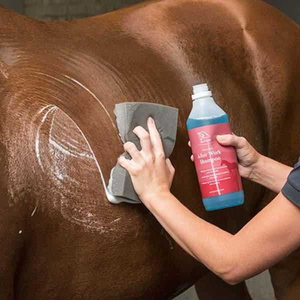 Blue Hors After Work Shampoo